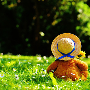 哪里可以看三级片
